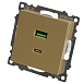Розетка 2-местная USB + type C (механизм), 250В, 3А, max 20W, STEKKER, GLS10-7116-08, серия Катрин, золото - фото