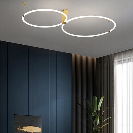 Потолочный Светильник Ringmor D60 D80 R2 Imperiumloft 207983-23 - фото