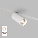 Светильник на шине Denkirs SMART SPOT DK8020-WH - фото
