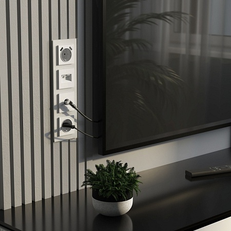 Розетка с заземлением, шторками и USBх2 (белый матовый) W1171561 - фото