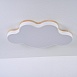 Потолочный Светильник Cloud Eco D83 White Imperiumloft 189502-26 - фото