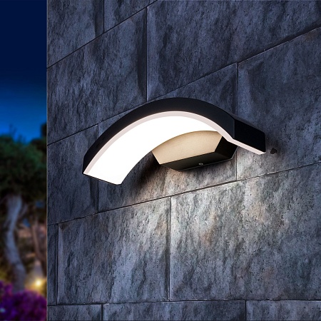 Пылевлагозащи<wbr>щенный настенный светодиодный светильник Asteria D IP54 1671 Techno LED черный Elektrostandard - фото