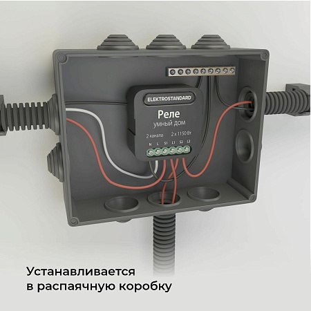 Умное двухканальное реле 76007/00 Elektrostandard - фото
