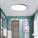 Потолочный Светильник Disc Half D38 Pink Imperiumloft 193126-26 - фото