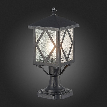 Светильник уличный наземный ST-Luce Черный/Черный, Прозрачный E27 1*60W SL084.405.01 - фото