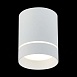 Светильник потолочный Белый LED 1*12W 4000K 840Lm Ra>90 120° IP20 D79xH100 170-240V ST115.542.12 - фото