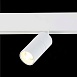 Магнитный трековый светильник белый LED 1*7W 3000K 595Lm Ra>90 36° IP20 L-xW44xH90 48V ST365.536.07 - фото