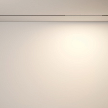 Трековый светильник Technical Parete TR106-2-18W3K-B - фото