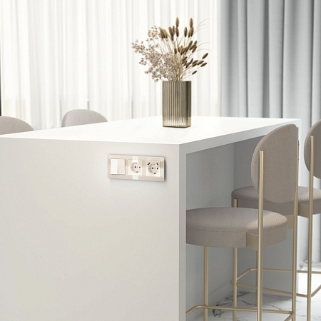 W1171043/ Розетка с заземлением (айвори акрил) W1171043 - фото