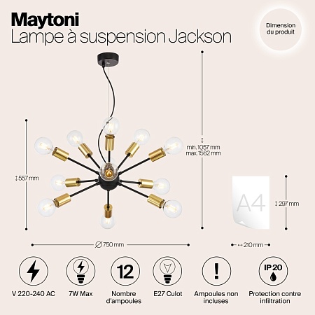 Подвесной светильник Maytoni Jackson T546PL-12B - фото