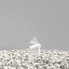 Ландшафтный светильник Outdoor Bern O050FL-L2W3K - фото