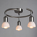 Спот Arte Lamp FALENA A3115PL-3SS - фото