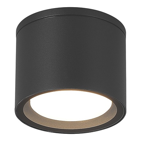 Светильник уличный потолочный ST-Luce серый/белый GX53 1*9W SL9006.702.01 - фото