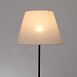 Торшер Arte Lamp ALEA A5068PN-1BK - фото