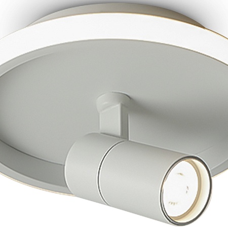 Потолочный светильник Freya FR6040CL-L14W - фото