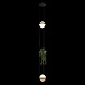 10121/2P Dark grey Подвесной светильник LOFT IT Jardin - фото