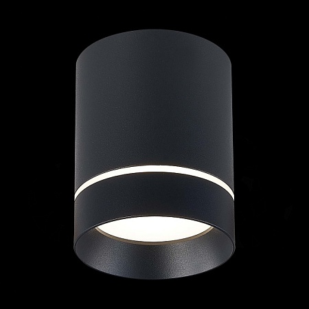Светильник потолочный Черный LED 1*12W 4000K 840Lm Ra>90 120° IP20 D79xH100 170-240V ST115.442.12 - фото