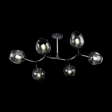 Потолочный светильник Freya Desi FR5006CL-06B - фото