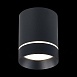 Светильник потолочный Черный LED 1*12W 4000K 840Lm Ra>90 120° IP20 D79xH100 170-240V ST115.442.12 - фото