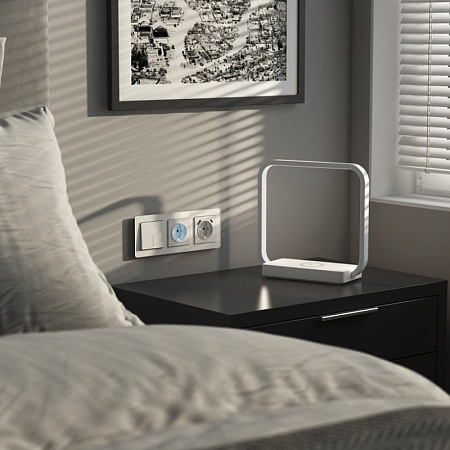 Розетка с подсветкой (белый матовый) W1171461 - фото