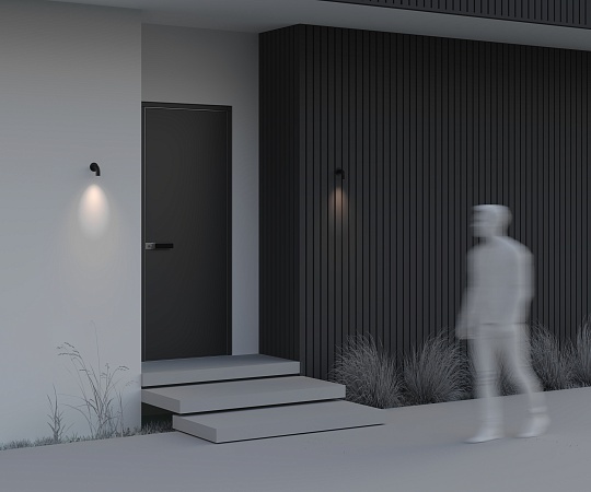 Настенный светильник (бра) Outdoor O477WL-L2GF3K - фото