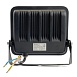 Светодиодный прожектор Feron.PRO LL-1000 IP65 50W 6400K черный - фото