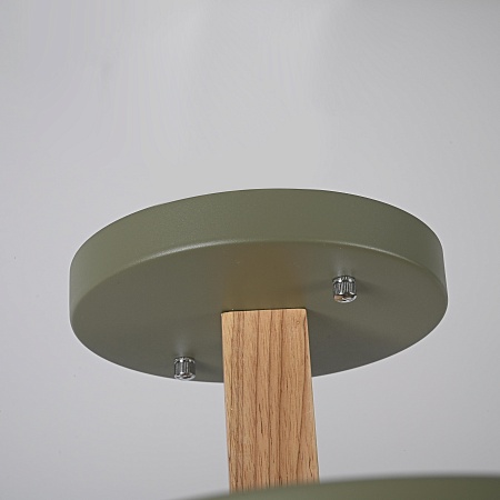 Потолочный Светильник Turna L12 Khaki Imperiumloft 228863-26 - фото