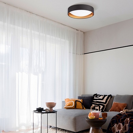 Светильник потолочный Серый, Золотистый/Белый LED 1*24W 4000K SLE201112-01 - фото