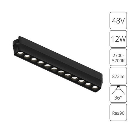 Магнитный трековый светильник Arte Lamp RAPID SMART A2954PL-1BK - фото