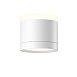 Потолочный светильник Technical C120CL-GX53-W - фото