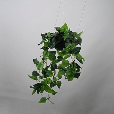 Подвесной Светильник Palma Wall Lamp Шар + Вазон Imperiumloft 168489-22 - фото