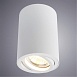 Точечный накладной светильник Arte Lamp SENTRY A1560PL-1WH - фото