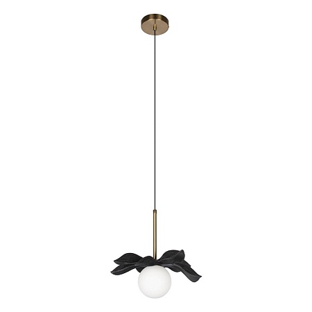 10213/A Black Подвесной светильник LOFT IT Monro - фото