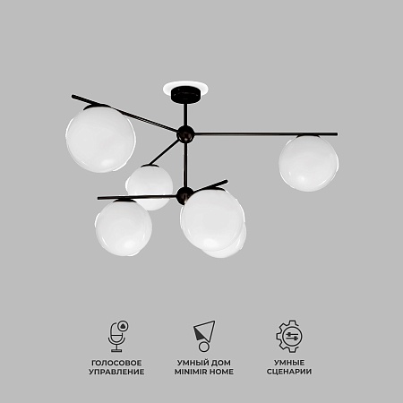 Потолочный светильник Eurosvet 60147/6 черный - фото