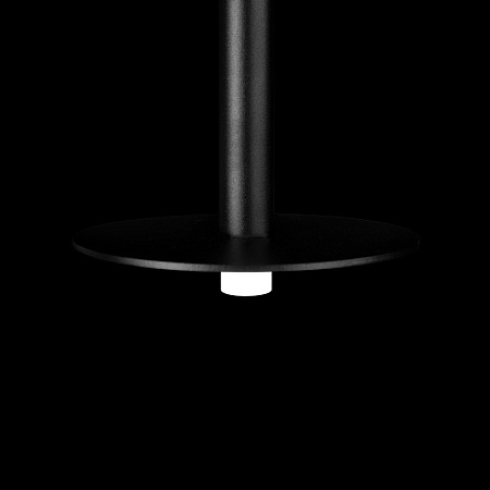 10358/830 Disk Подвесной светильник LOFT IT Reed - фото