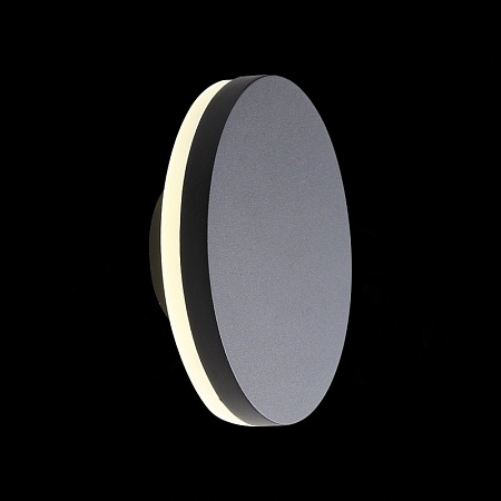 Светильник уличный настенный ST-Luce Черный кварцевый LED 1*12W 4000K SL087.401.01 - фото