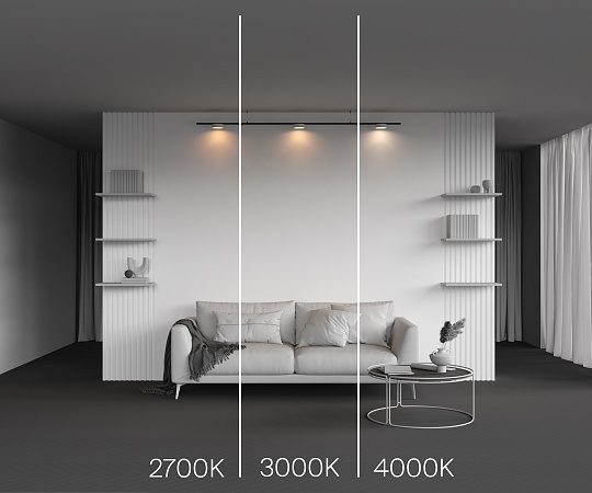 Трековый светильник Technical Zon TR189-1-12W3K-BW - фото