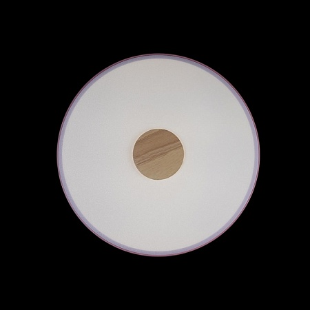 10003/24 Pink Потолочный светильник LOFT IT Axel - фото