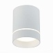 Светильник потолочный Белый LED 1*12W 4000K 840Lm Ra>90 120° IP20 D79xH100 170-240V ST115.542.12 - фото