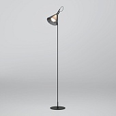 Напольный светильник Eurosvet 01187/1 черный