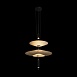 10244/B Black Подвесной светильник LOFT IT Skylar - фото