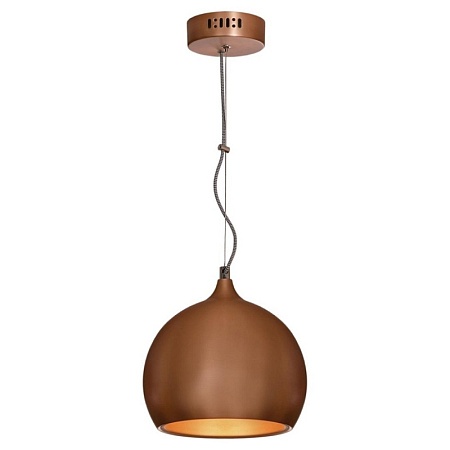 Подвесной светильник Lussole AOSTA LSN-6106-01 - фото