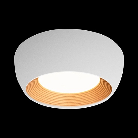 10255/350 White Потолочный светильник LOFT IT Folk - фото