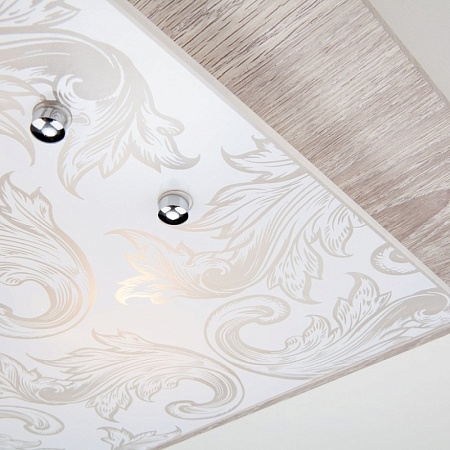 Потолочный светильник настенный светильник Eurosvet 2961/3 - фото