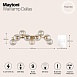 Настенный светильник (бра) Maytoni Dallas MOD547WL-09G - фото