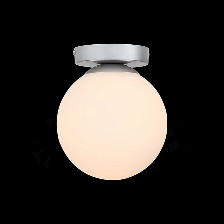 Светильник настенный Серебристый/Белый E27 1*40W SL717.501.01 - фото