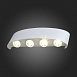 Светильник уличный настенный ST-Luce Белый кварцевый LED 8*1W 4000K SL089.501.08 - фото