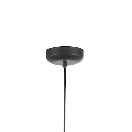 Светильник подвесной ST-Luce Черный/Черный LED 1*20W 3000K SL6016.403.01 - фото