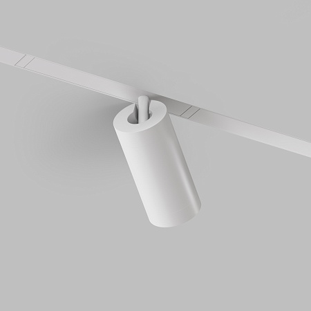 Светильник на шине Denkirs SMART SPOT DK8020-WH - фото