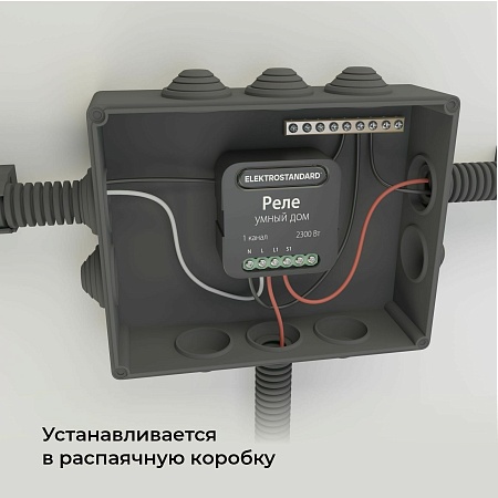 Умное одноканальное реле 76006/00 Elektrostandard - фото